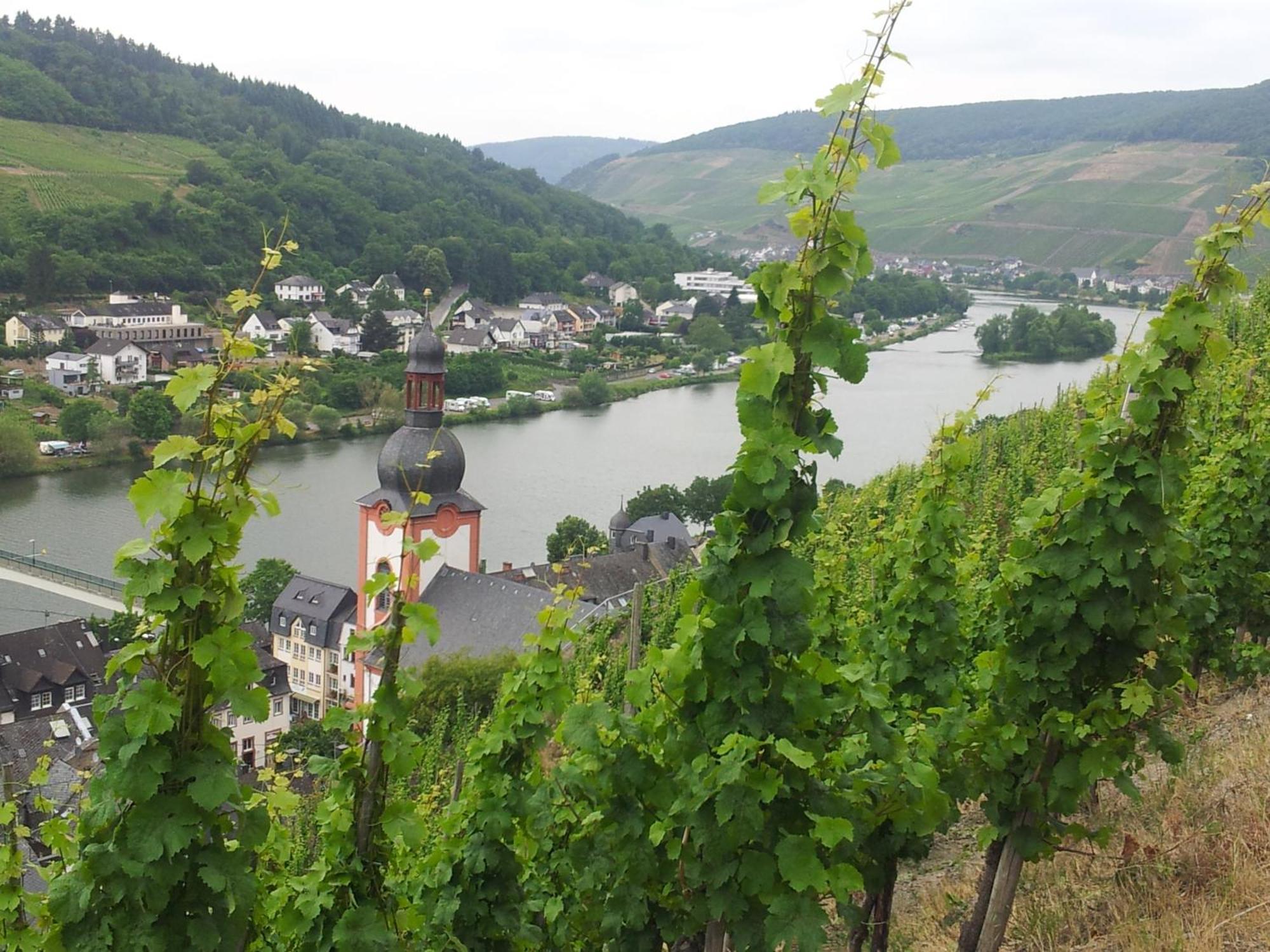 צל אן דר מוזל "Ferienhaus An Der Mosel" מראה חיצוני תמונה