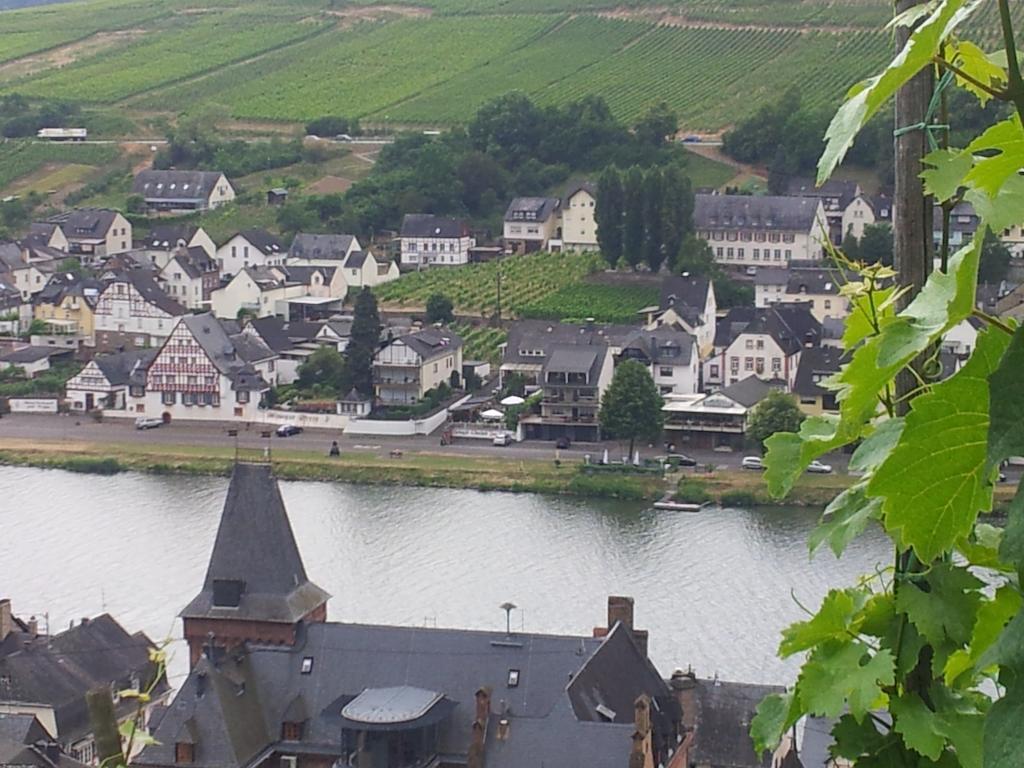 צל אן דר מוזל "Ferienhaus An Der Mosel" מראה חיצוני תמונה
